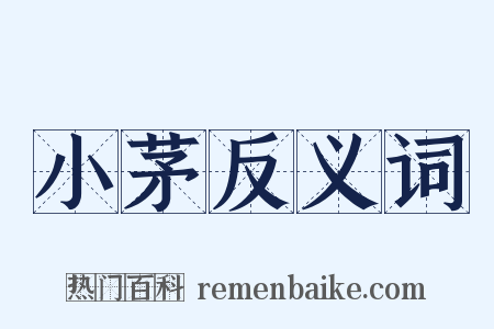 小茅反义词是什么意思的图片